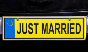 Image showing license plate frames