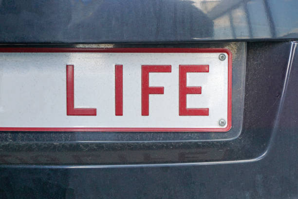 Image showing license plate frames